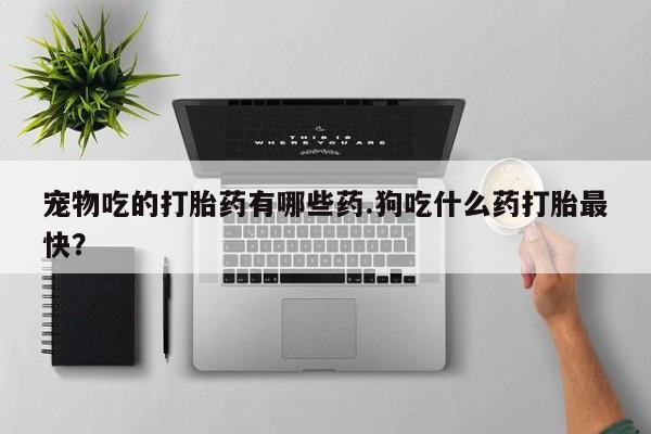 网上购买打胎药联系方式宠物吃的打胎药有哪些药.狗吃什么药打胎最快？